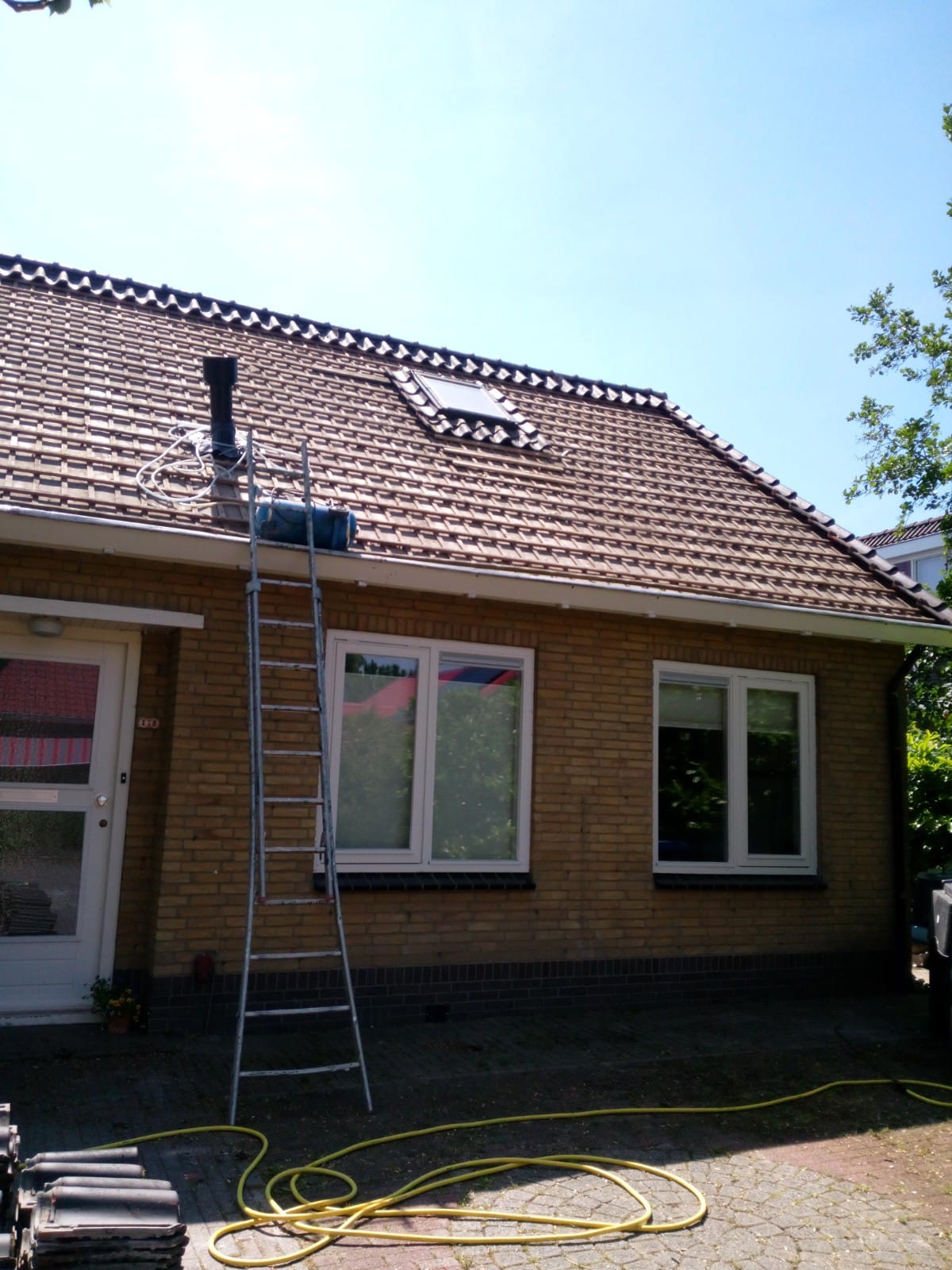Houtwormbestrijding-in-Britsum