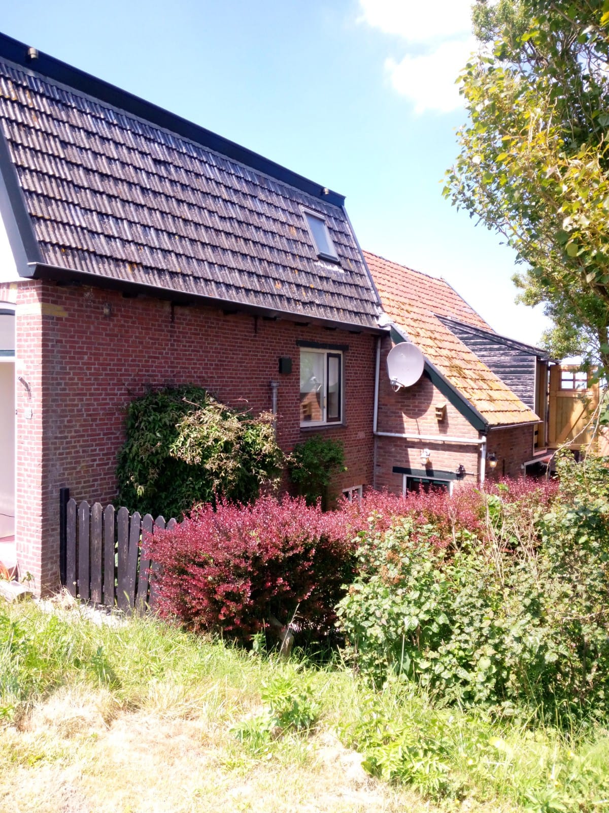 Houtwormbestrijding-woning-Oudebildtzijl Houtwormbestrijding-woning-Oudebildtzijl