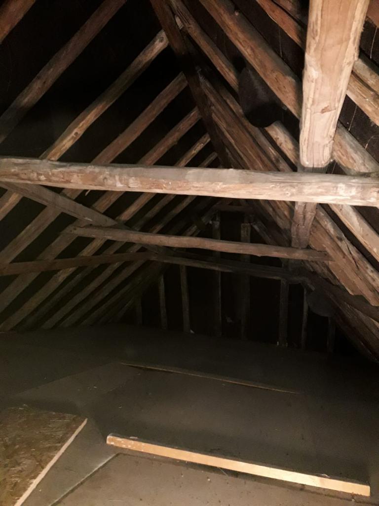 Houtwormbestrijding-woning Houtwormbestrijding-woning