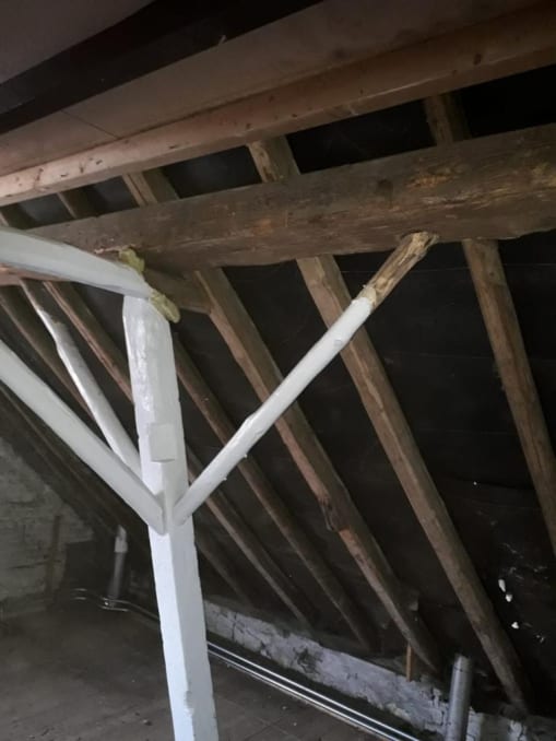 Verzwakte-houtconstructie-voorkomen-houtworm