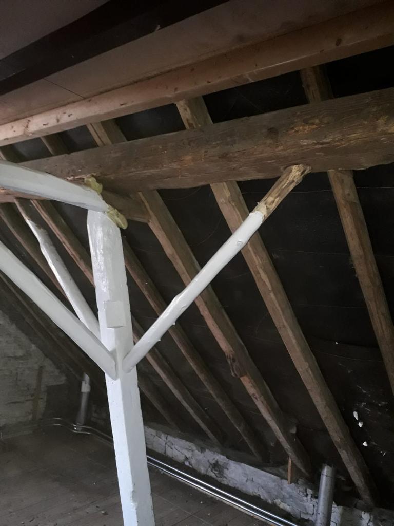 Verzwakte-houtconstructie-voorkomen-houtworm Verzwakte-houtconstructie-voorkomen-houtworm