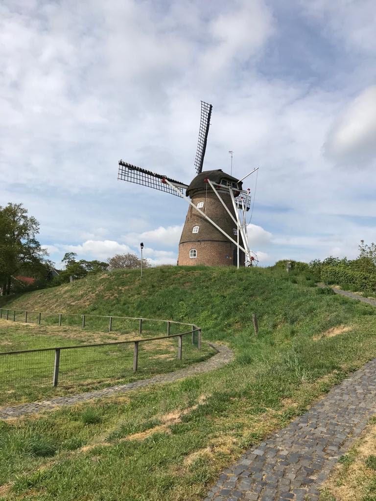 hoekstra bedrijfshygiene 3 bonte_knaagkever